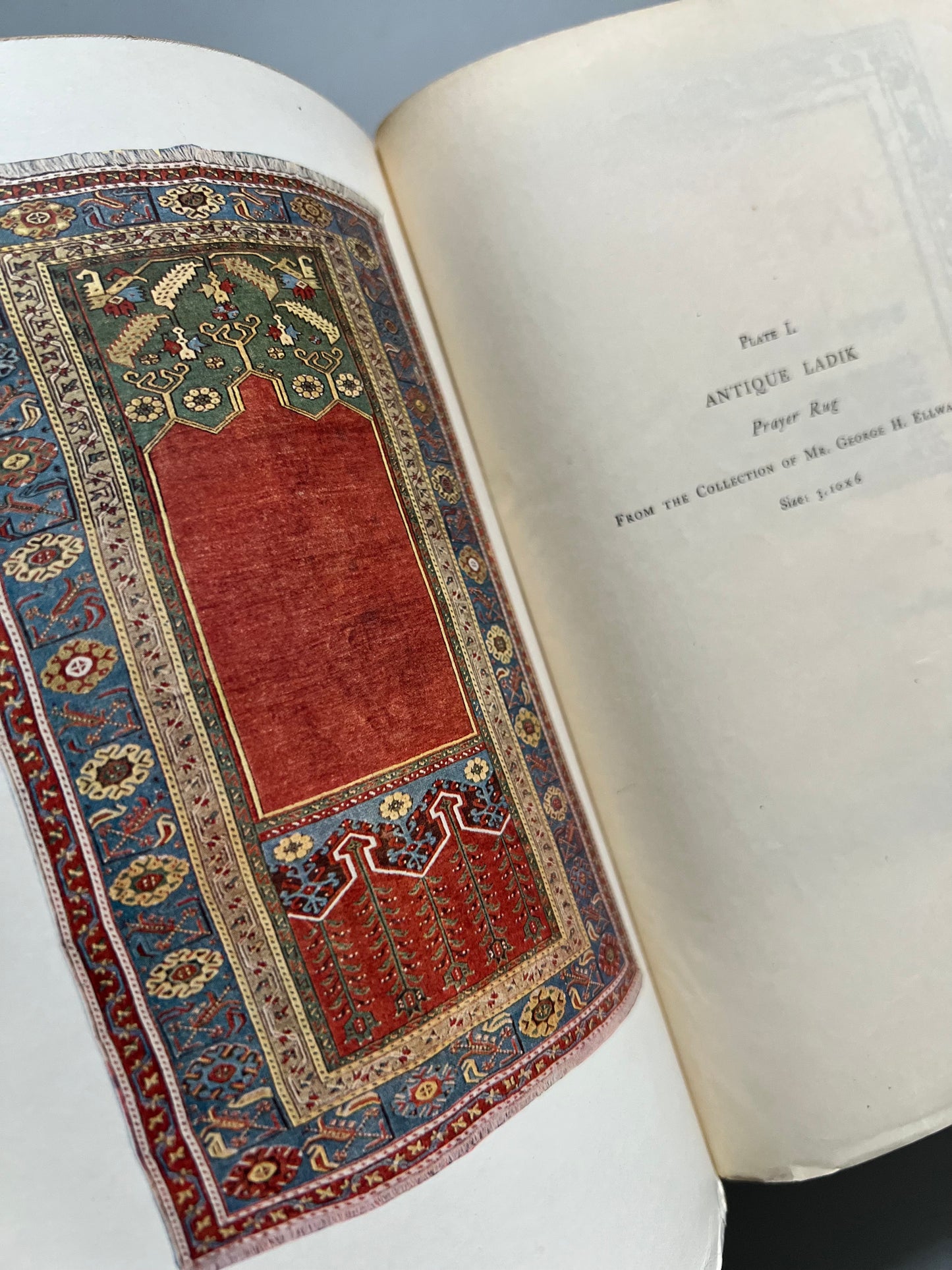 The oriental rug, W. D. Ellwanger - Dodd, Mead & Company, 1903