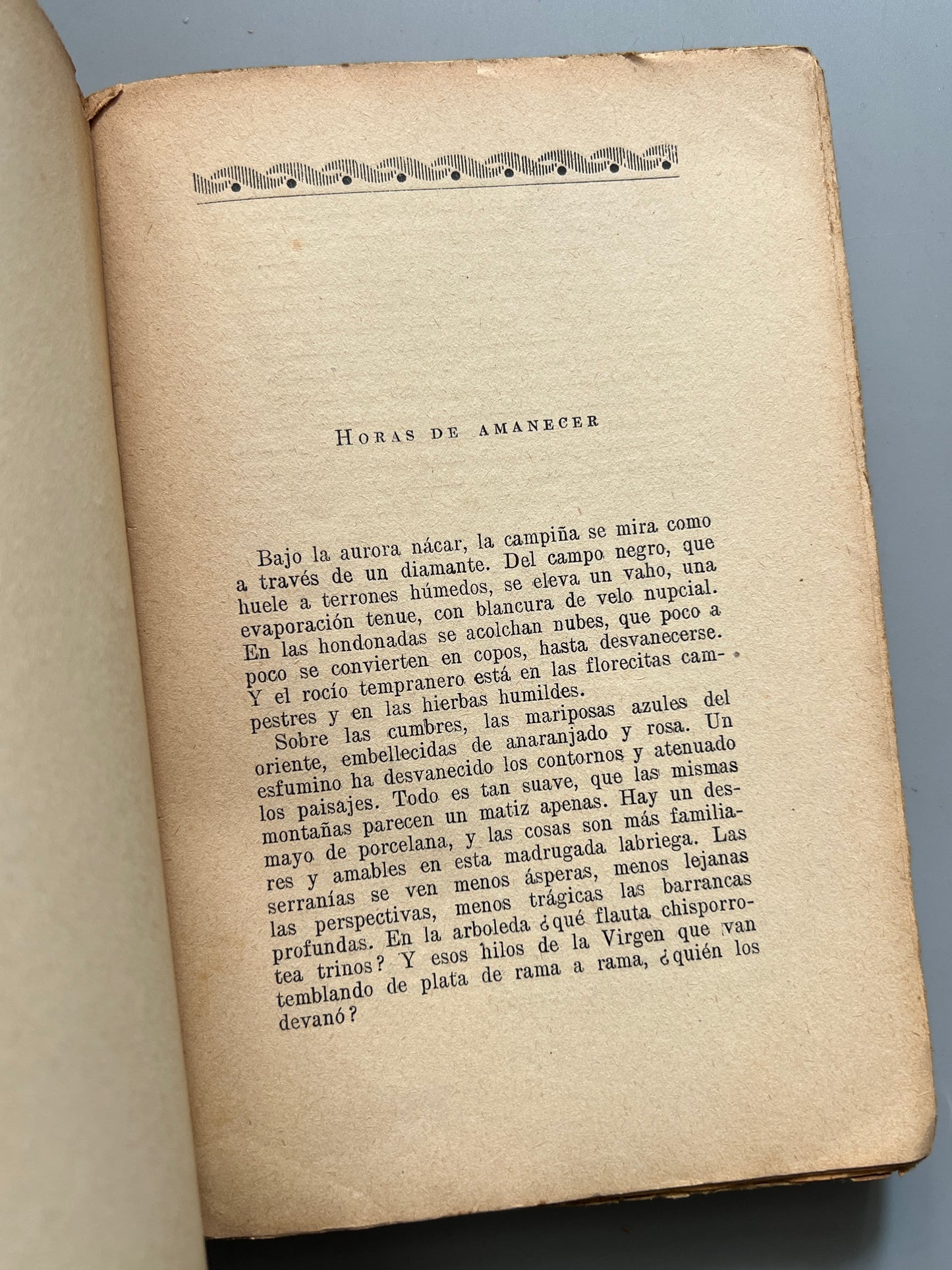Tierra de sol y de montaña, José Rodríguez Cerna (firmado y dedicado a Miguel Rasch Isla) - Editorial Bauza, ca. 1930