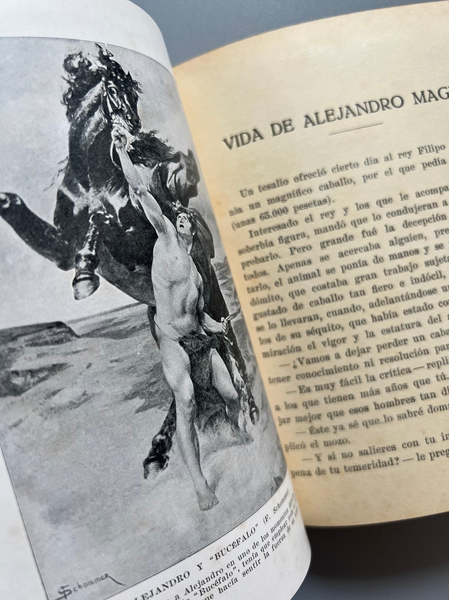 Vida de Alejandro Magno, Juan Palau Vera - Seix y Barral, 1934