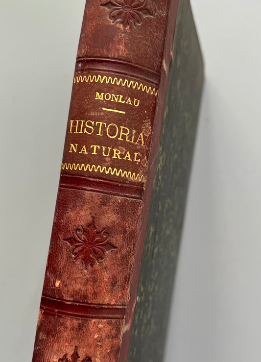 Curso de historia natural, José Monlau - Librería de la viuda de Hernando y Cª, 1890