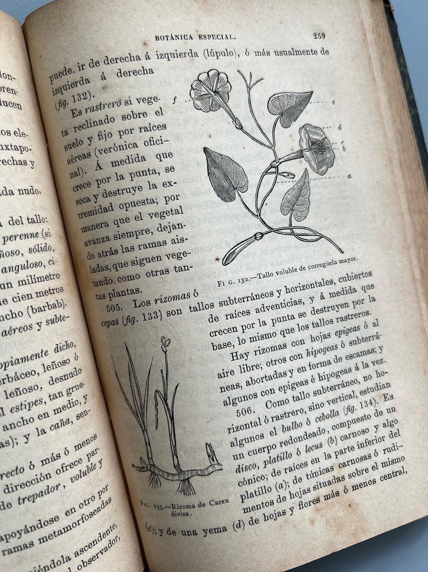 Curso de historia natural, José Monlau - Librería de la viuda de Hernando y Cª, 1890