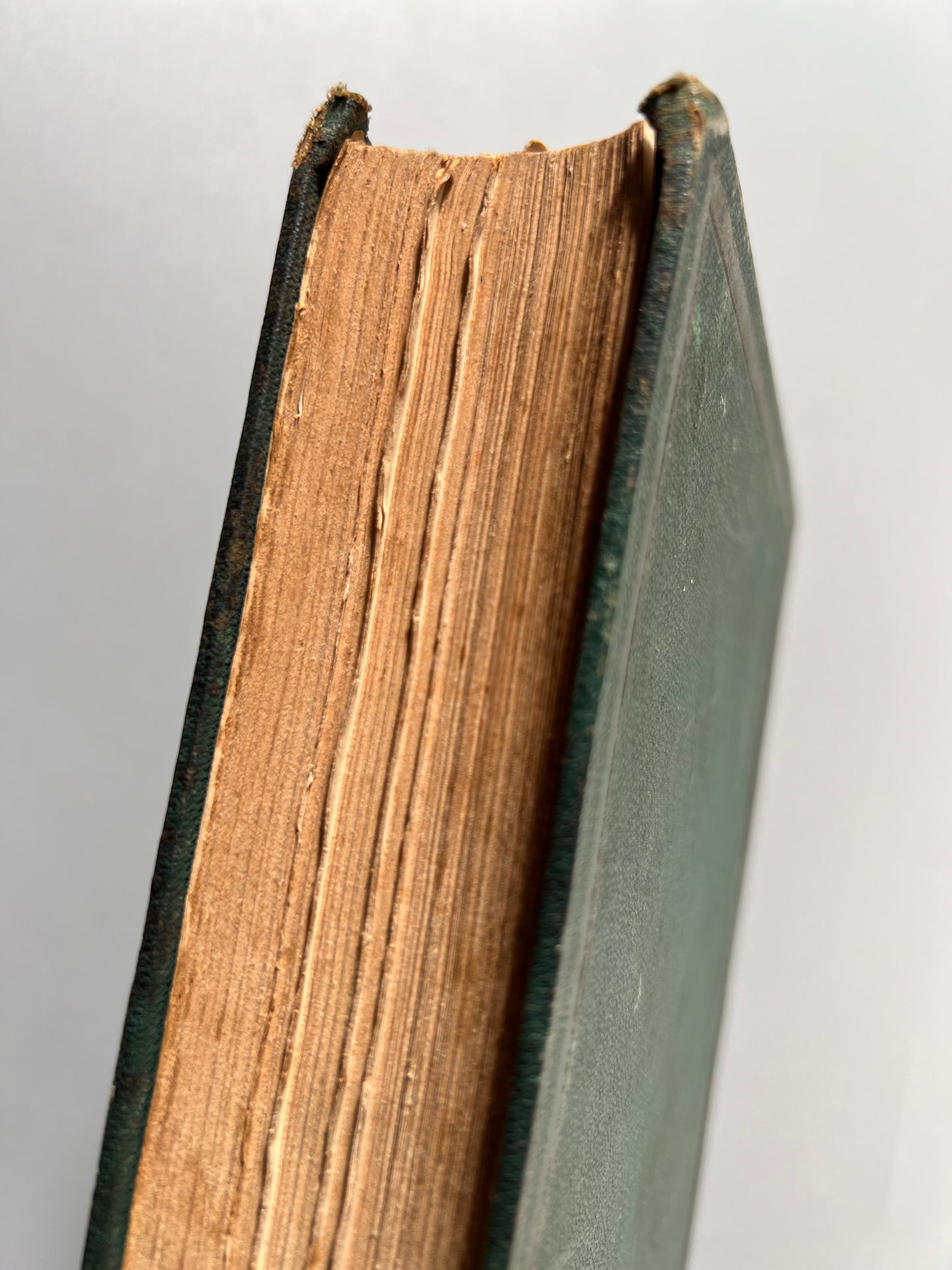 Mugeres de la Biblia, Joaquin Roca y Cornet - Librería española/ La amenidad literaria, 1864