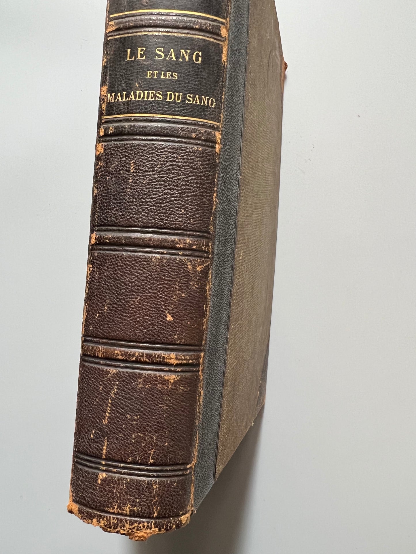 Le sang et les maladies du sang, Christian Champy - Société d'Éditions Scientifiques et Medicales, 1913