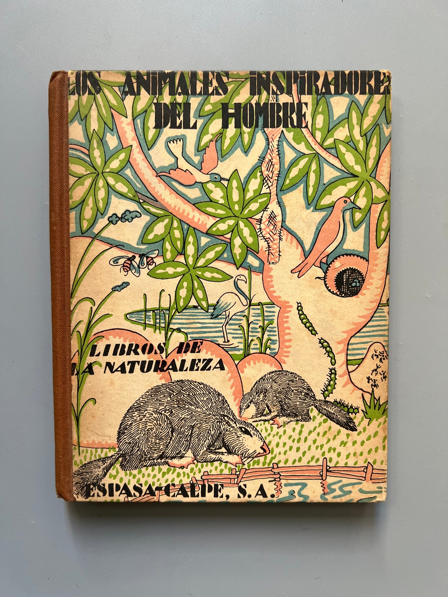Animales inspiradores del hombre, Angel Cabrera - Espasa-Calpe, 1929