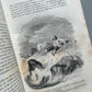 Aventures de Robinson Crusoe, Daniel Defoe (contiene el sello de pertenencia al Marqué de Villapuente de la peña) - Garnier frères, 1859
