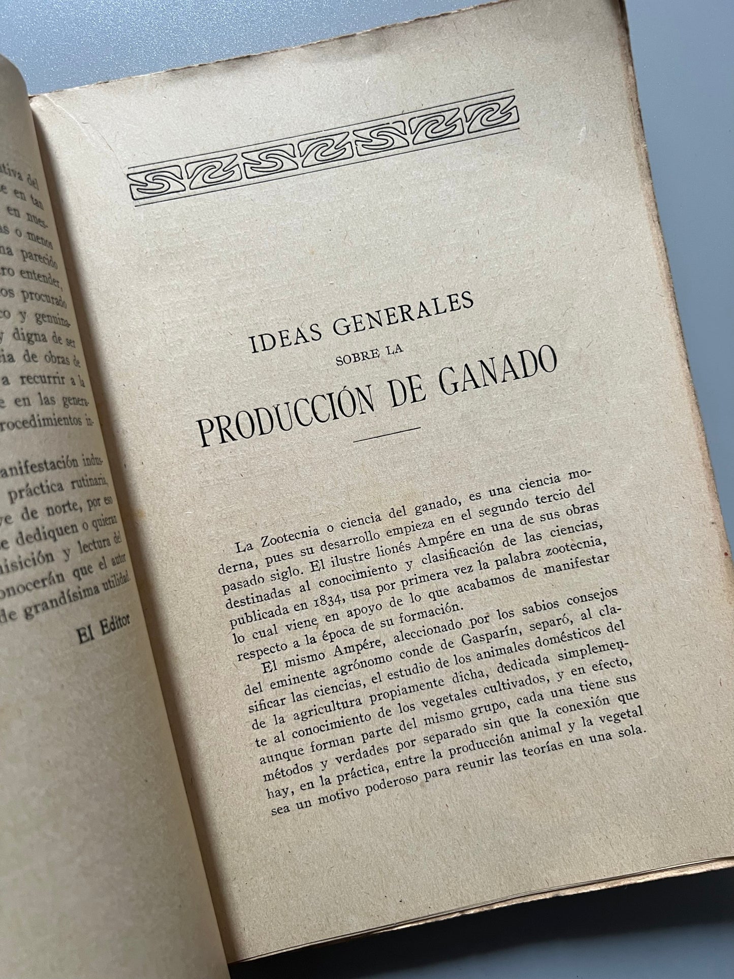 El cerdo, tratado completo de salchichería, Rafael Salavera y Trías - Librería de Francisco Puig, 1924